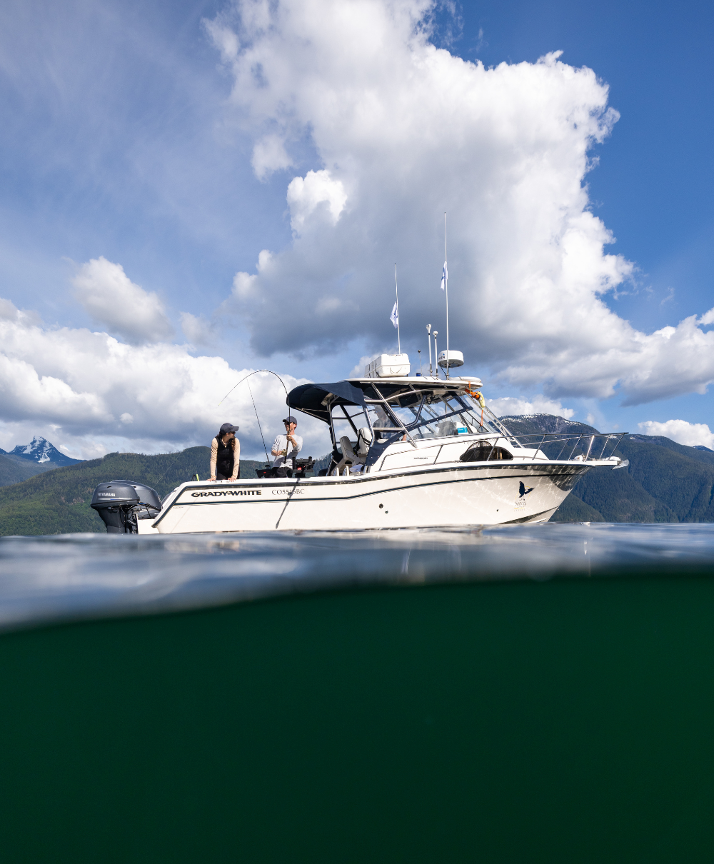 Salmon fishing in Bute Inlet
