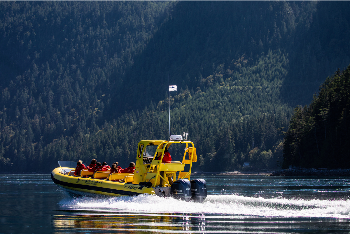 Eco-Adventure boat cruising along the water on a tour