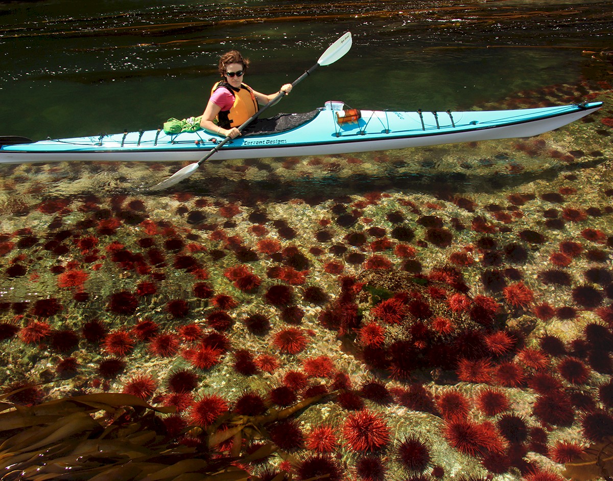 Sonora Resort Kayaking