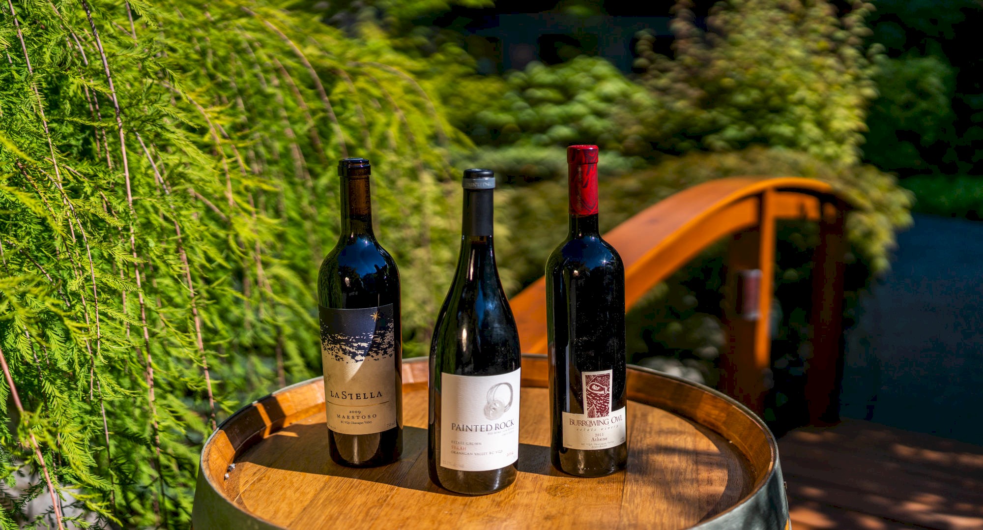 Sonora Resort - Wine